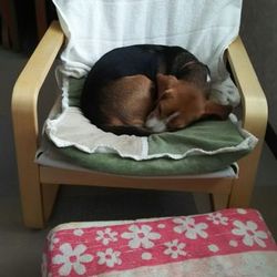 「あれから１年余り(1)」サムネイル3