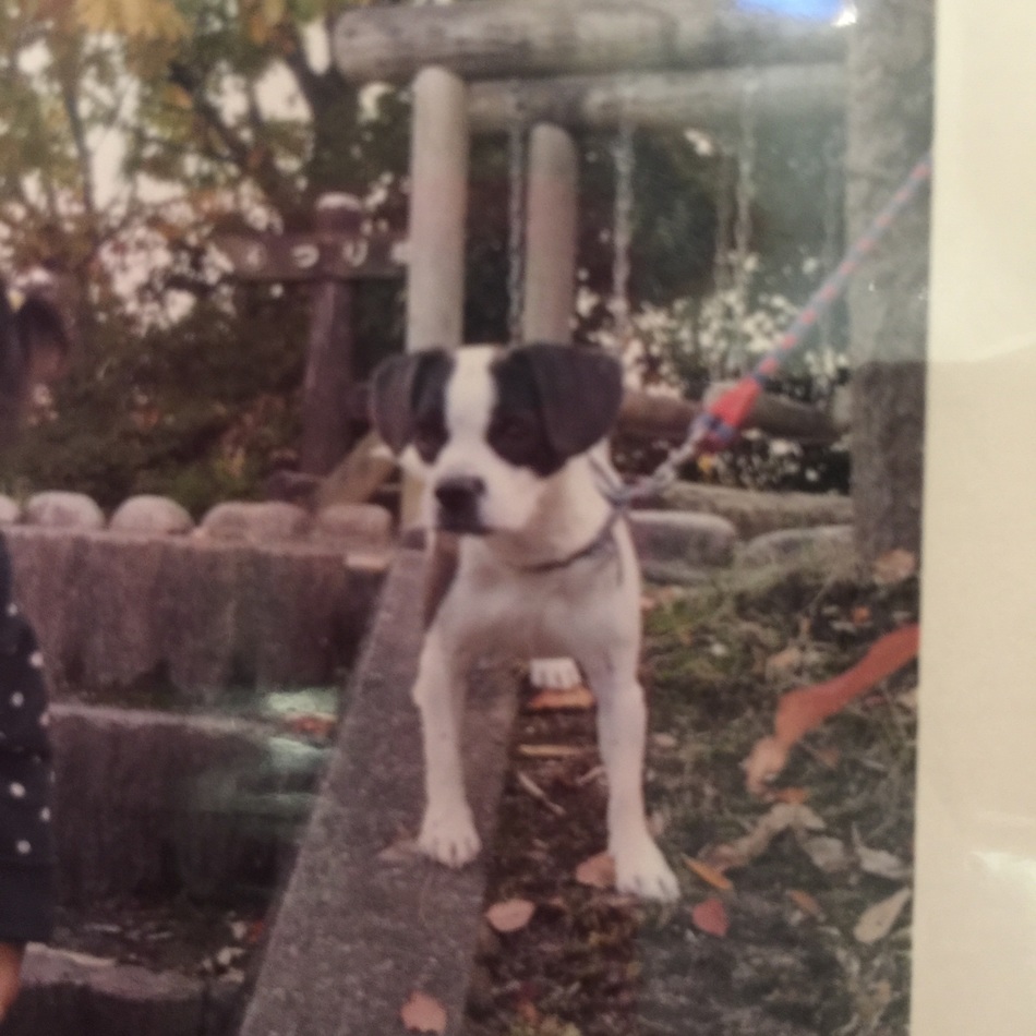 イヴのカバー写真