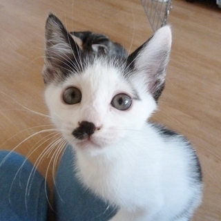 ハノ字眉毛がチャームポイントのちひろちゃん♪