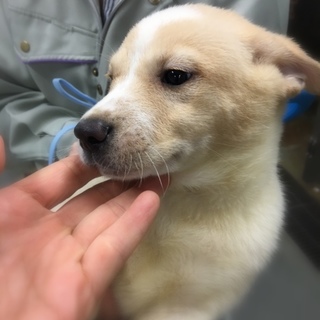 たまおくん（6425）