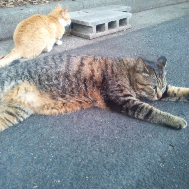 たかひでくんのカバー写真