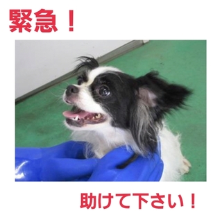 ありがとうございました！