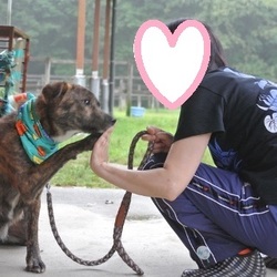 里親様決定～訓練施設卒業内定！