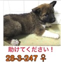 家族が出来ました！
