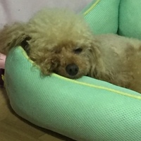 エコリ