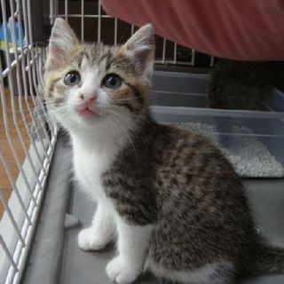 ファイト一発! !スカンチちゃん。