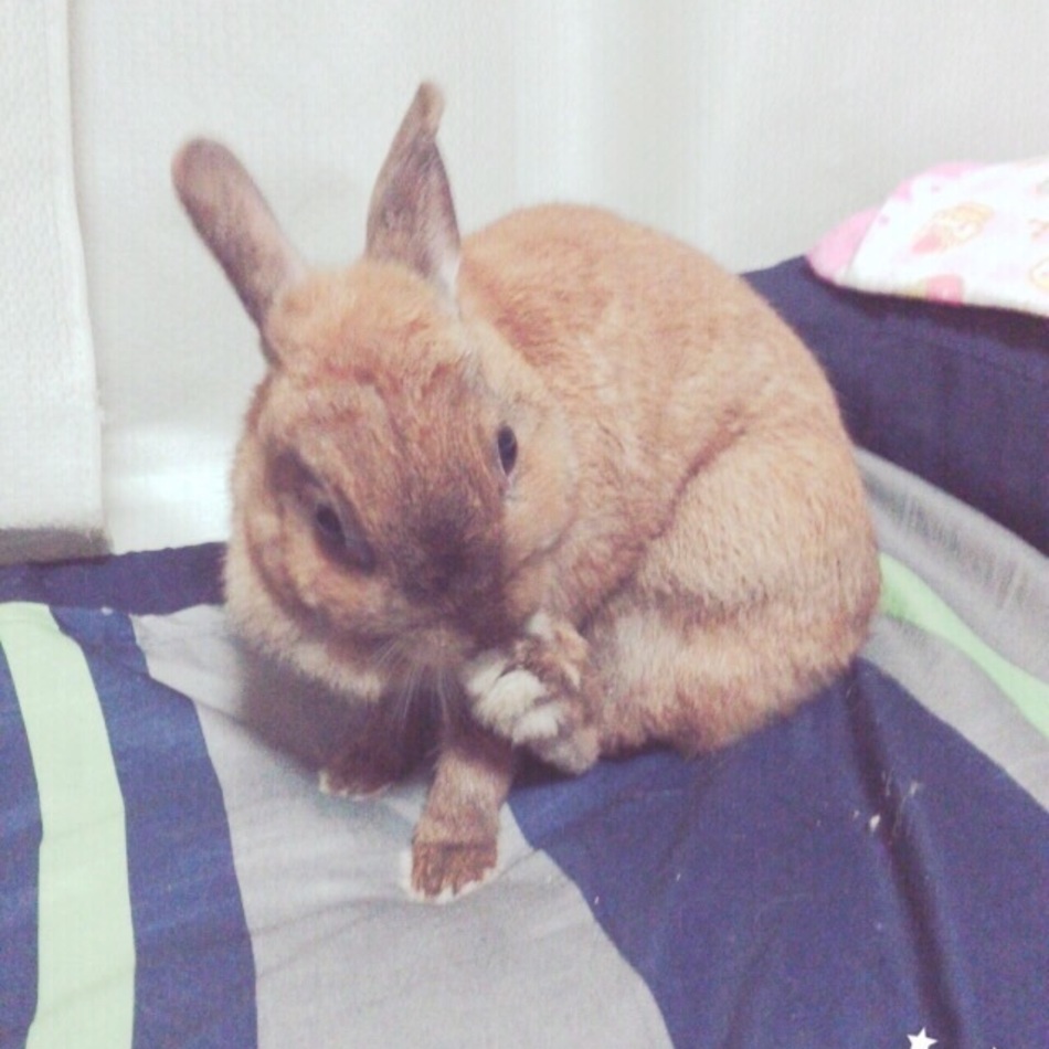 さらぷーのカバー写真