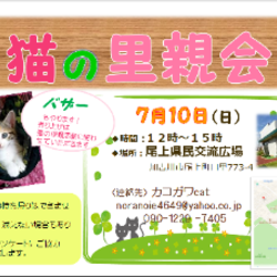 猫の里親会＆バザー
