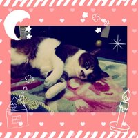 みーこりん