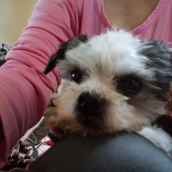 猿みたな子ですがｗ