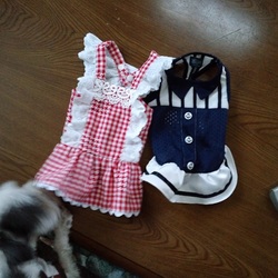 「猿みたな子ですがｗ」サムネイル3