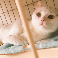 おこめ