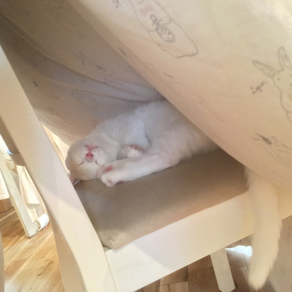 おこめのカバー写真