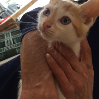 おっとり、マイペースな男の子
