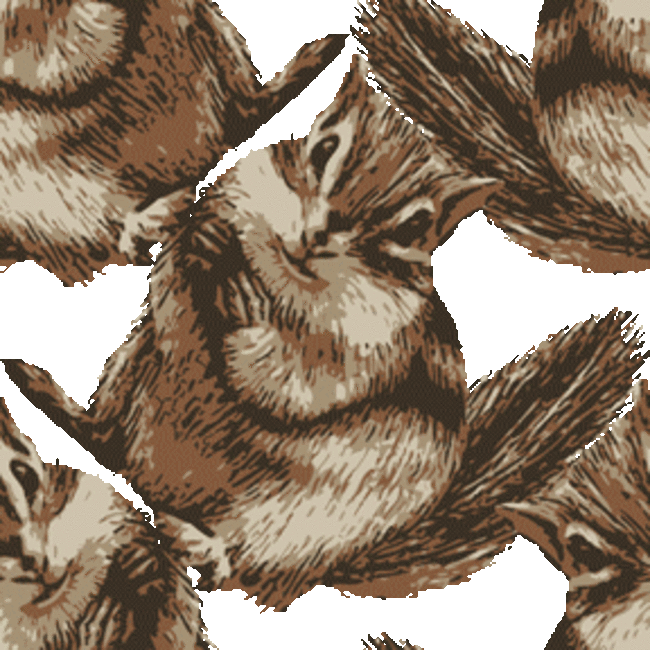 しまのすけ.のカバー写真