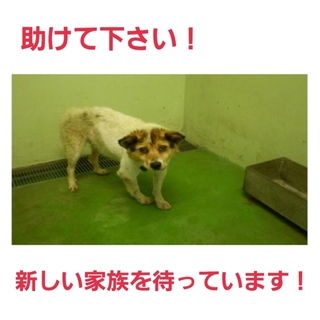 里親様に感謝致します！ありがとうございます！