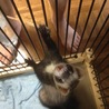 遊んで遊んで。
