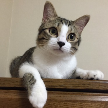 ひとやすみ。