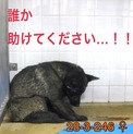 家族ができました！感謝です！