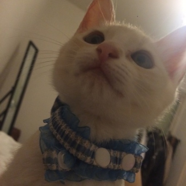 youuuuu_のカバー写真