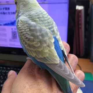 ありがとうございました^ ^