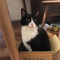 くりくりお目目のサラちゃん(*^^*)