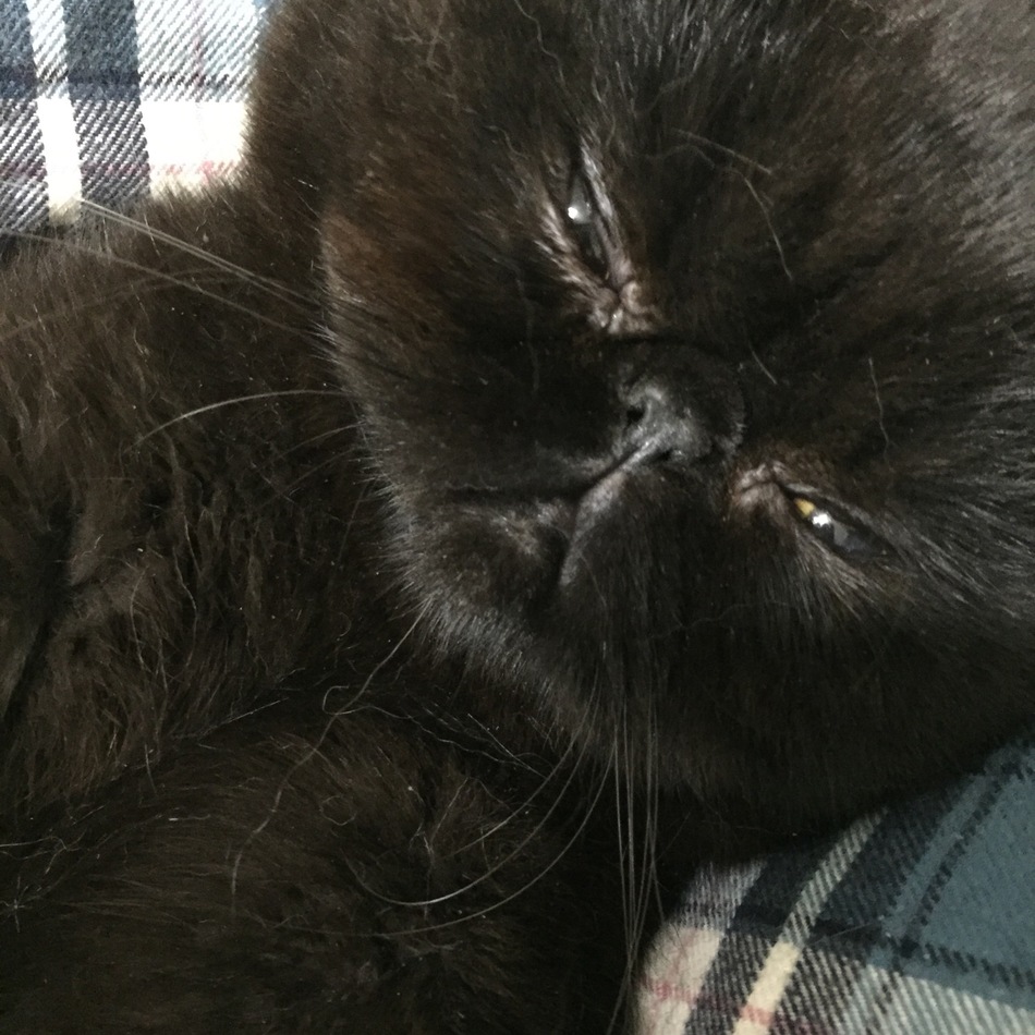 タケルのカバー写真