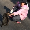 saori.h