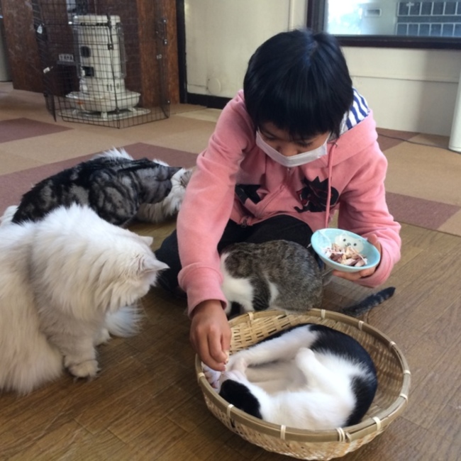 saori.hのカバー写真