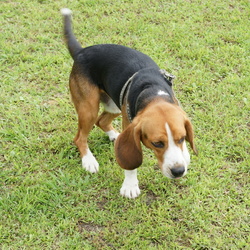 「あれから１年余り(1)」サムネイル1