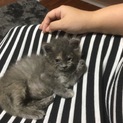 生後1ヶ月