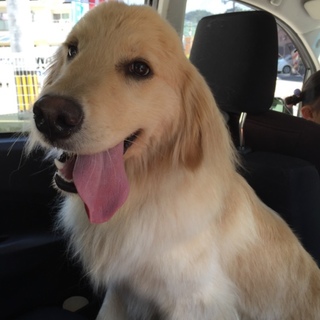 可愛がってくれる方募集中