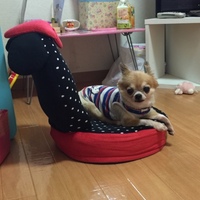 まりい