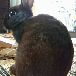 何見てんのよ？(≡・x・≡)