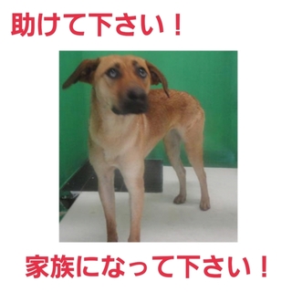 本当に本当にありがとうございました。