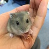 おこおこ