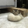  さん
