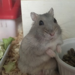 正面写真げっと！
