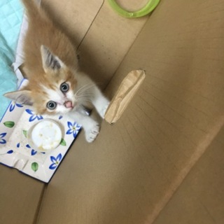 とても優しそうな方にご縁がありました