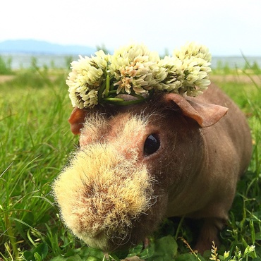 琵琶湖岸で散歩