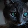 ねこが欲しいです