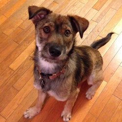 「ぼくミック」サムネイル1