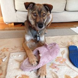 「ぼくミック」サムネイル2