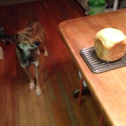 「ぼくミック」サムネイル3