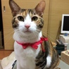 ねね