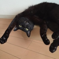 ソラ