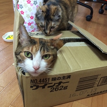 背後からココが…‼︎