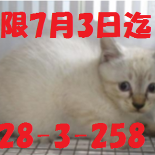 緊急募集です！！どうぞどうぞ宜しくお願いします！！