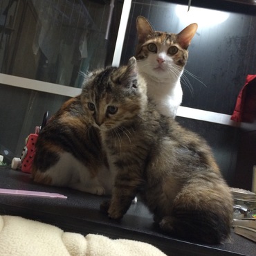 の写真