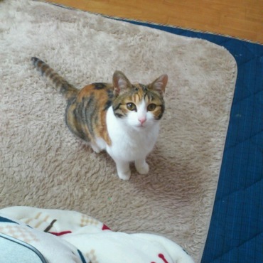 小さかったなぁー